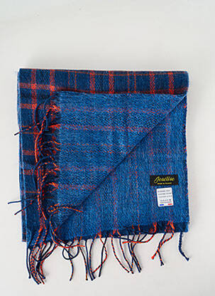Echarpe imprimé fantaisie bleu JOSÉLISE femme