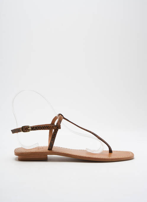 Tongs marron COULEUR POURPRE pour femme