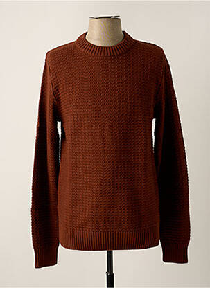 Pull col rond manches longues marron clair SELECTED homme