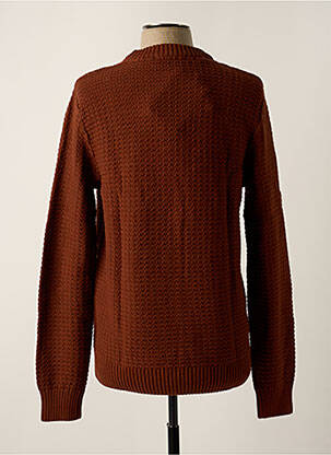 Pull col rond manches longues marron clair SELECTED homme