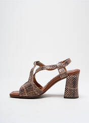 Sandales/Nu pieds marron CHIE MIHARA pour femme seconde vue