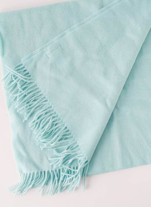 Echarpe bleu GANT pour homme