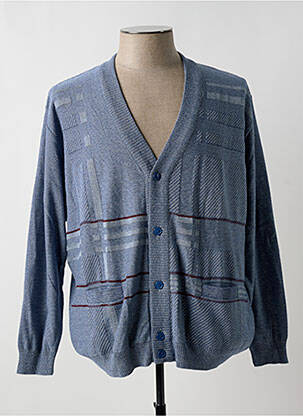 Gilet manches longues col v bleu EASYLINE homme