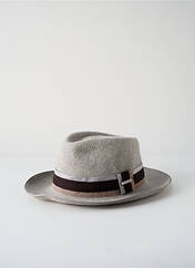 Chapeau gris STETSON pour homme seconde vue