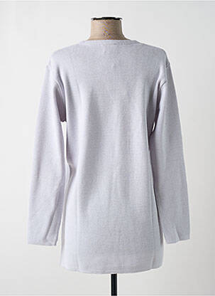 Pull coupe droite manches longues gris LEWINGER femme