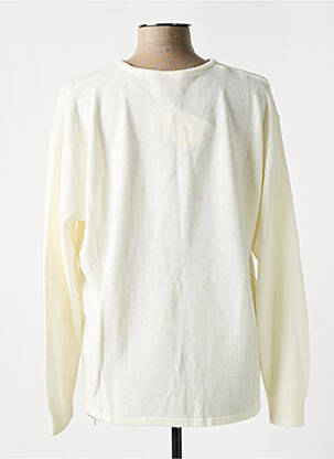 Pull coupe droite manches longues beige LEWINGER femme