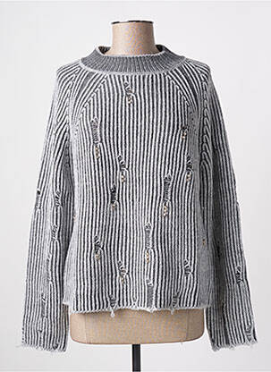 Pull coupe droite manches longues gris ANGELA DAVIS femme