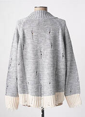 Pull gris ANGELA DAVIS pour femme seconde vue