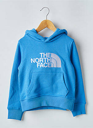 Sweat-shirt à capuche bleu THE NORTH FACE pour homme