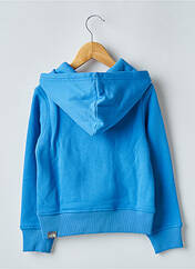 Sweat-shirt à capuche bleu THE NORTH FACE pour homme seconde vue