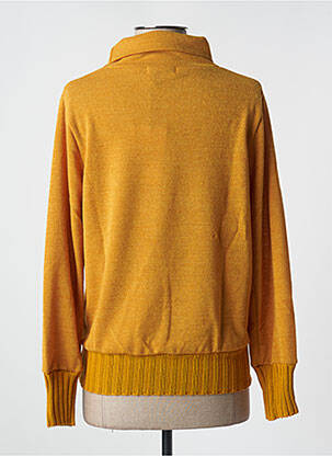 Pull or PAUL BRIAL femme