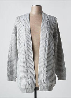 Gilet manches longues gris PAUL BRIAL femme