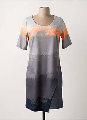 Robe mi-longue gris PAUL BRIAL femme