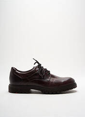 Derbies marron LLOYD pour homme seconde vue