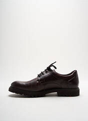 Derbies marron LLOYD pour homme seconde vue