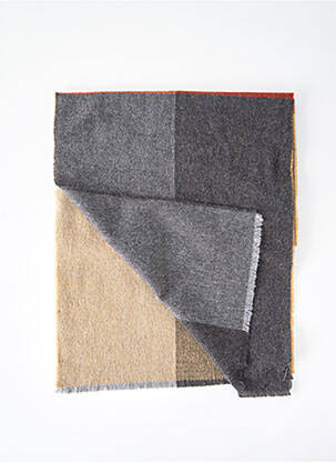 Foulard beige DELAHAYE homme