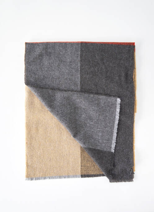 Foulard beige DELAHAYE pour homme