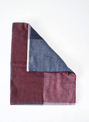 Foulard bordeaux DELAHAYE homme
