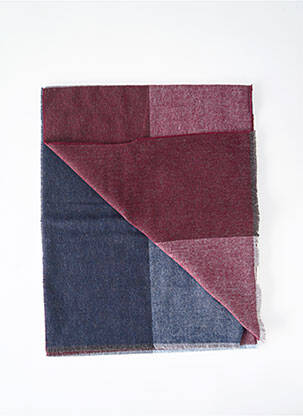 Foulard bordeaux DELAHAYE homme
