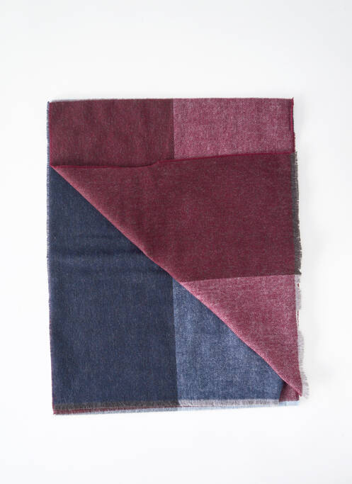 Foulard bordeaux DELAHAYE pour homme