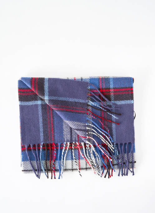 Echarpe bleu DELAHAYE pour homme