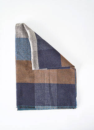 Foulard bleu electrique DELAHAYE homme