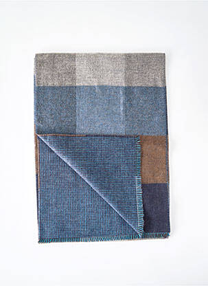 Foulard bleu electrique DELAHAYE homme