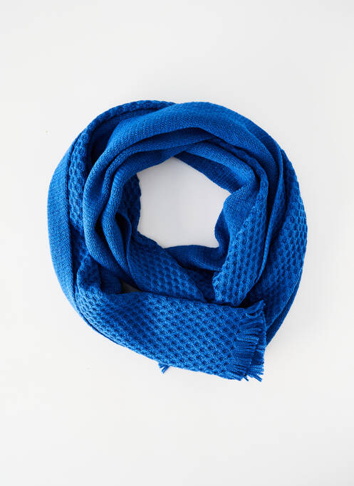 Echarpe bleu BONNEFOY pour homme
