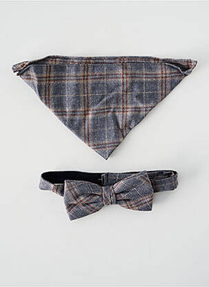 Noeud papillon doublure gris VIRTUOSE homme