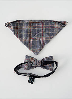 Noeud papillon doublure gris VIRTUOSE homme