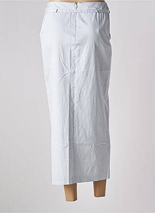 Jupe longue fermeture zippée au dos gris PABLO GERARD DAREL femme