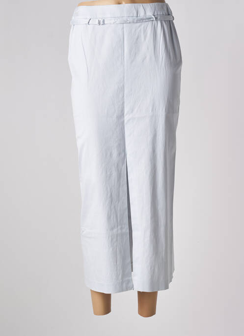 Jupe longue gris PABLO GERARD DAREL pour femme