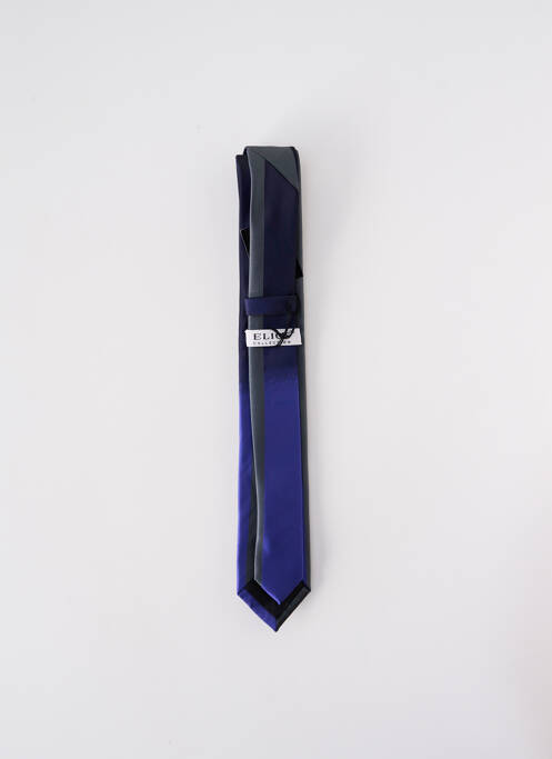 Cravate bleu ELIOS pour homme