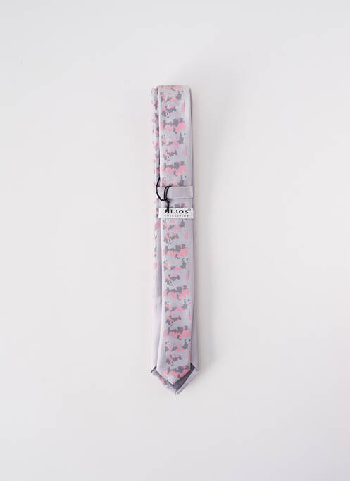 Cravate gris ELIOS pour homme