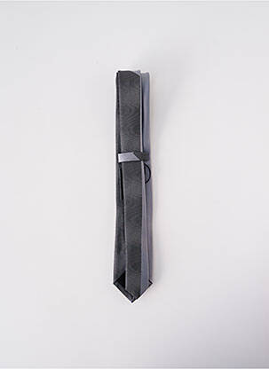 Cravate fermeture liens à nouer gris ELIOS homme