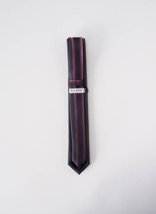 Cravate violet ELIOS homme