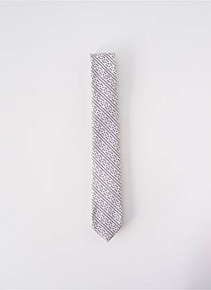 Cravate fermeture liens à nouer gris ELIOS homme