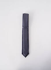 Cravate gris ELIOS pour homme seconde vue