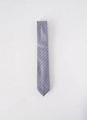 Cravate gris ELIOS pour homme seconde vue