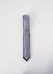 Cravate gris ELIOS pour homme seconde vue