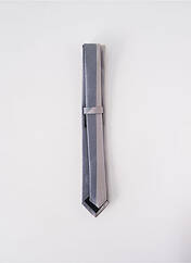 Cravate gris ELIOS pour homme seconde vue