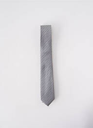 Cravate fermeture liens à nouer gris ELIOS homme