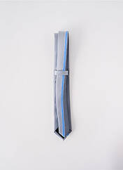 Cravate gris ELIOS pour homme seconde vue