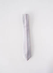 Cravate gris ELIOS pour homme seconde vue