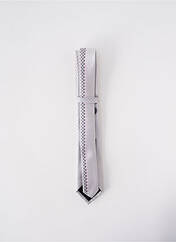 Cravate gris ELIOS pour homme seconde vue