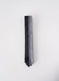 Cravate fermeture liens à nouer gris ELIOS homme