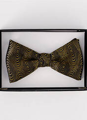 Noeud papillon jaune PAUL WILLIAMS pour homme seconde vue