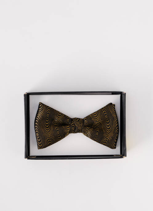 Noeud papillon jaune PAUL WILLIAMS pour homme