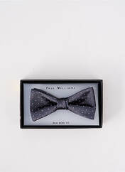Noeud papillon gris PAUL WILLIAMS pour homme seconde vue