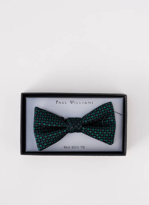 Noeud papillon vert PAUL WILLIAMS pour homme